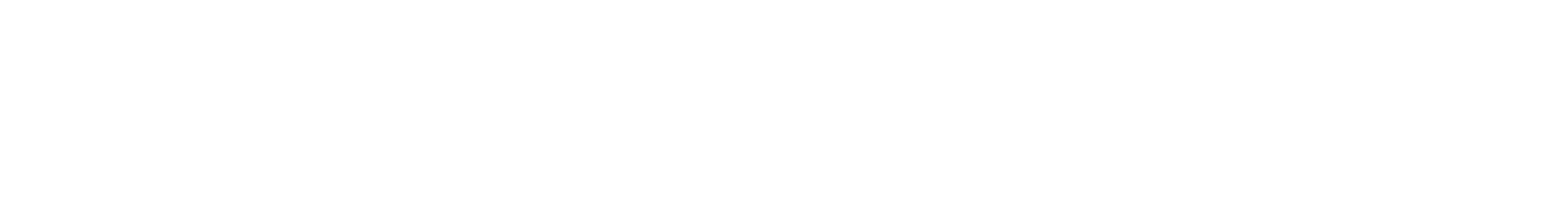 Logo White